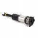 Arnott AS-295 98 2x повітряні амортизатори Arnott L+P для AUDI A8 D3