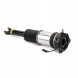Arnott AS-295 98 2x повітряні амортизатори Arnott L+P для AUDI A8 D3