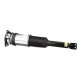 Arnott AS-295 98 2x повітряні амортизатори Arnott L+P для AUDI A8 D3