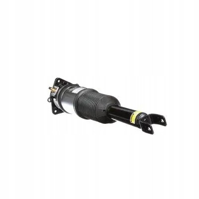 Arnott AS-295 98 2x повітряні амортизатори Arnott L+P для AUDI A8 D3
