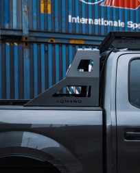 Китай K10_F150 Патрубки ролбар Форд F-150, патрубки роллбара