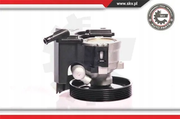 ESEN SKV 10SKV153 Насос гідропідсилювача 10скв153 esen skv citroen