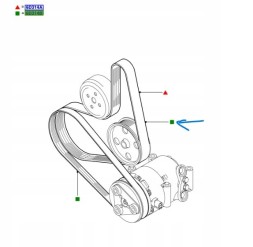 Ford OE 4M5Q-6D314-AB Комплект приводного ременя - Ford C-Max Ford Focus
