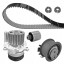 Dayco KTBWP2961 Комплект грм + водяний насос ktbwp2961 dayco audi