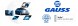 Gauss GI6002 ПАЛИВНИЙ НАСОС MERCEDES 123 124 230E 280E 190 2. 2.3