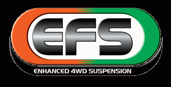 EFS 4WD NIS-125E ПІДВІСКА ПРУЖИНИ ПІДЙОМУ +2 ДЮЙМА NAVARA D40 EFS D