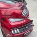 Китай 15581 Спойлер кришки багажника Ford Mustang 15+ GT500 Shelby Style, чорний глянсовий