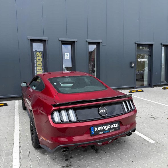 Китай 15581 Спойлер кришки багажника Ford Mustang 15+ GT500 Shelby Style, чорний глянсовий