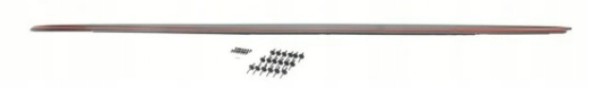 BMW OE 51192455950 Оригінальна накладка на пороги, чорний матовий P, BMW G30