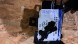 Ford OE 1768298 1752048 1752047 1813550 F.7 ZAMEK M.0 Ford Fiesta MK7 ліфт кронштейн замка замок капота передній