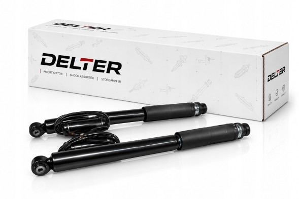 DELTER DEL2113260100 Задні амортизатори DELTER A2113260100 ADS для Mercedes W211 C219, комплект