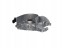 Spartan Parts SPP 000.000.0566 МАСЛЯНИЙ НАСОС OPEL INSIGNIA A 08> 2.0 CDTI