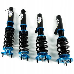 SD101 F10/R8 Linesracing Комплект гвинтівки (койловери) для BMW E46 (10/8) FULL TAP