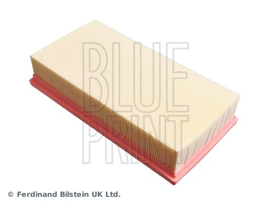 ADB112239 BLUE PRINT Фільтр забору повітря