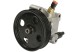 AD BRAKE VIC-274987 Гідравлічний насос кермового управління K S00 000 118 для FORD FOCUS III,