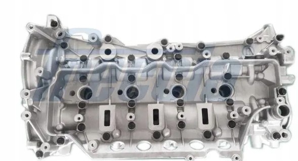 Freccia CH17-1004 Головка двигуна ch17-1004 freccia nissan nv400
