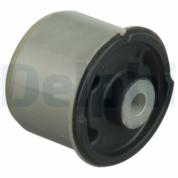 TD1629W DELPHI Сайлентблок