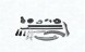 MAGNETI MARELLI 341500000760 Комплект ланцюга грм 341500000760