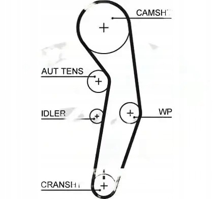 Gates K015601XS Комплект ременя грм k015601xs gates audi vw a2