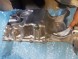 Honda OE 112005PAA00 Honda CRV CR-V 2020- 20- Чаша Масляна чаша 1.5Т