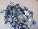 Ford OE LX6T-14290-NADE КАМЕРА ВСТАНОВКА FORD ESCAPE MK4 USA 1.5EB