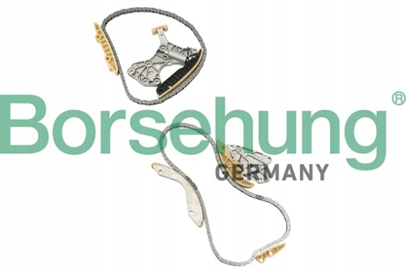Borsehung B18844 Комплект грм 2.5 audi vw 07k198229a b18844