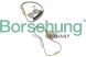 Borsehung B18844 Комплект грм 2.5 audi vw 07k198229a b18844