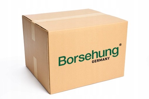 Borsehung B18844 Комплект грм 2.5 audi vw 07k198229a b18844