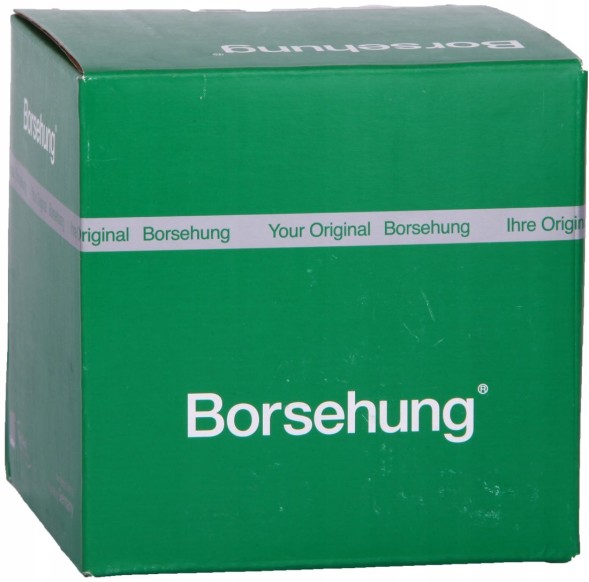 Borsehung B18844 Комплект грм 2.5 audi vw 07k198229a b18844