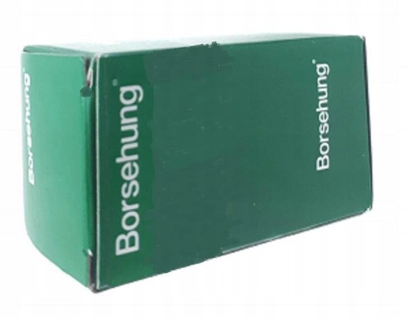 Borsehung B18844 Комплект грм 2.5 audi vw 07k198229a b18844