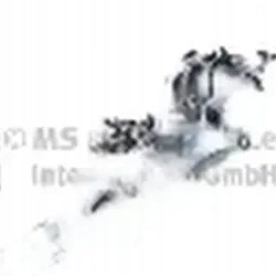 Pierburg 7.10102.08.0 Додатковий водяний насос 7.10102.08.0 pierburg citroen
