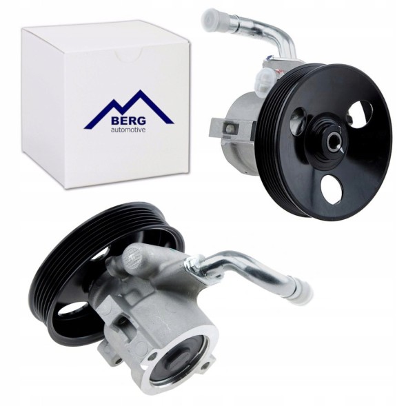 Berg Automotive BERG FC9954 Berg насос гідропідсилювача шевроле каптіва 2.0d