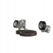 Gates K026PK1020EST Комплект клинового ременя багаторівковий