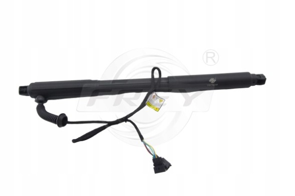 Frey 890815801 ПРИВІД ЗАДНЬОГО ЛЮКА L BMW X5 E70 OE 51247332695
