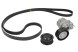 V-maxzone Part VIC-66065 Комплект поліклинового ременя VKMA для MERCEDES-BENZ CLK, C-КЛАС, C-КЛАС