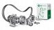 Шефлер І.НА 534 0299 10 Schaeffler ina 534 0299 10 натягувач клинового ременя багаторівковий