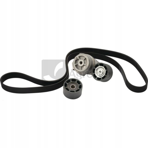 Schaeffler INA 529 4132 10 Комплект багатоклинових ременів