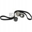 Schaeffler INA 529 4132 10 Комплект багатоклинових ременів
