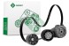 Schaeffler INA 529 4132 10 Комплект багатоклинових ременів