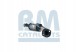 BM Catalysts BM91170H Каталізатор bm91170h bm catalysts renault clio