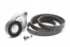 Volvo OE 31401425 Комплект клинового ременя volvo