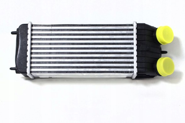 Abakus 009-018-0005 Інтеркулер citroen c2 1.6 hdi 0384.J4