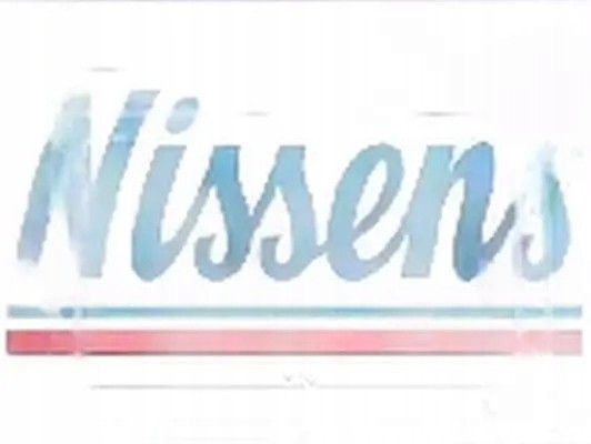 Nissens 606838 Охолоджувач води 606838 nissens
