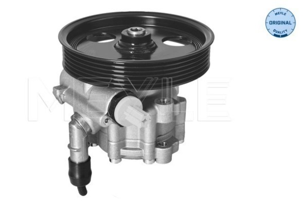 V-maxzone Part VIC-285998 Гідравлічний насос кермового управління 16-14 631 0005 для DACIA DUSTER,