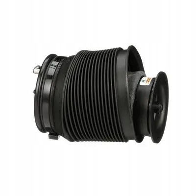 Arnott A-333 21 2x подушки безпеки Arnott REAR L+R для LEXUS, TOYOTA GX, URBAN
