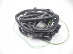 Ford OE ГАЛОГЕННІ ЖГУТ ПРОВОД FORD FIESTA 01-08 OE 1446611