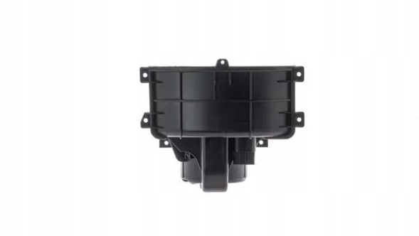 Mahle AB 403 000S Повітродувка ab403000s/mah mahle original