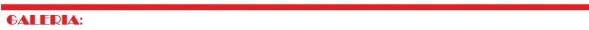 Maxgear 49-1727 Maxgear вал ford focus ii pr 1.6tdci