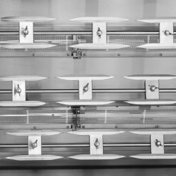 Китай WEW-SC-HP-1026405 Газовий Вертел Royal Catering для Курки 4 Шампури 16.5 кВт