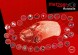 Metzger 2420880 Chrysler voyager, 2001-
